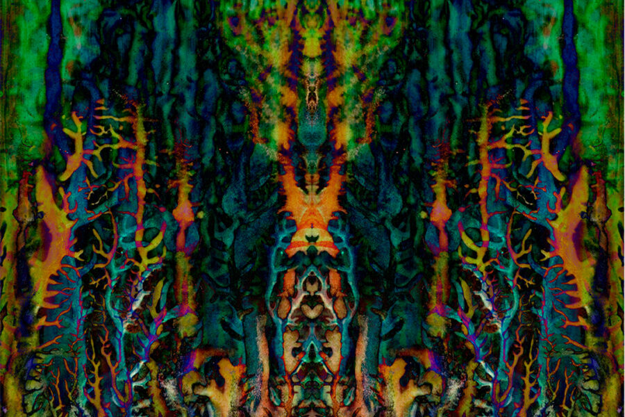 Digital rendering from Plasmic Impressions painting series.